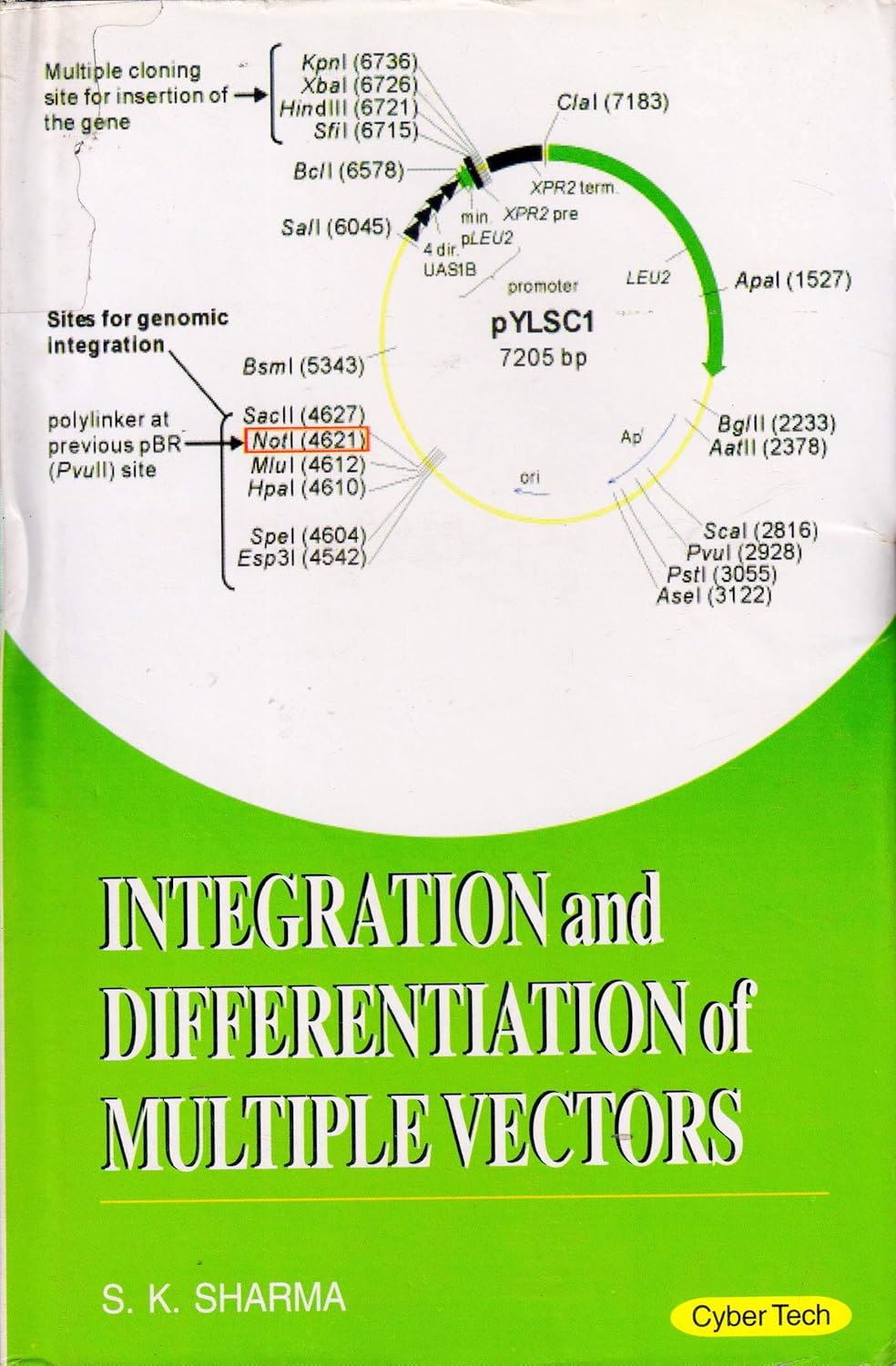 Integration and Differentation of Multiple Vectors
