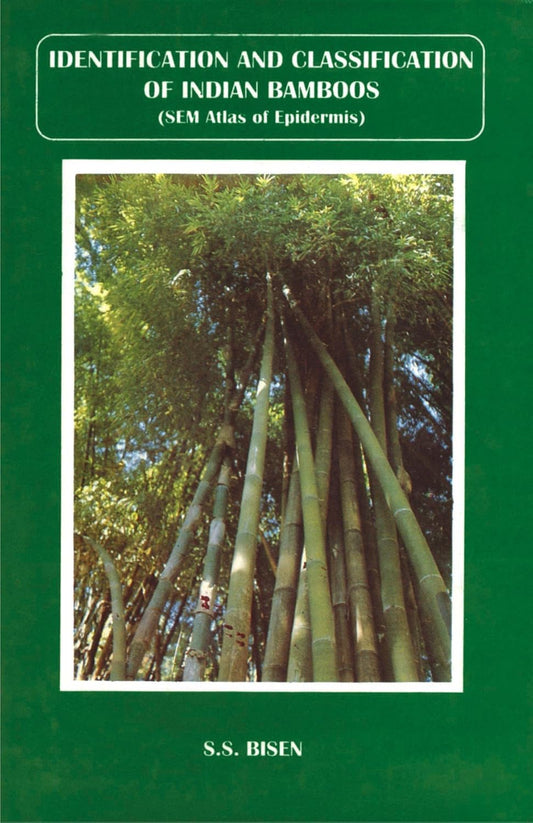 Identification and Classification of Indian Bamboos