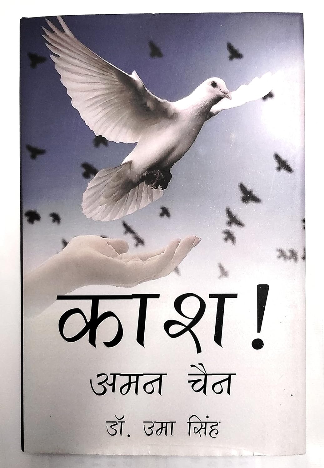 Kash! Aman Chain (Hindi)