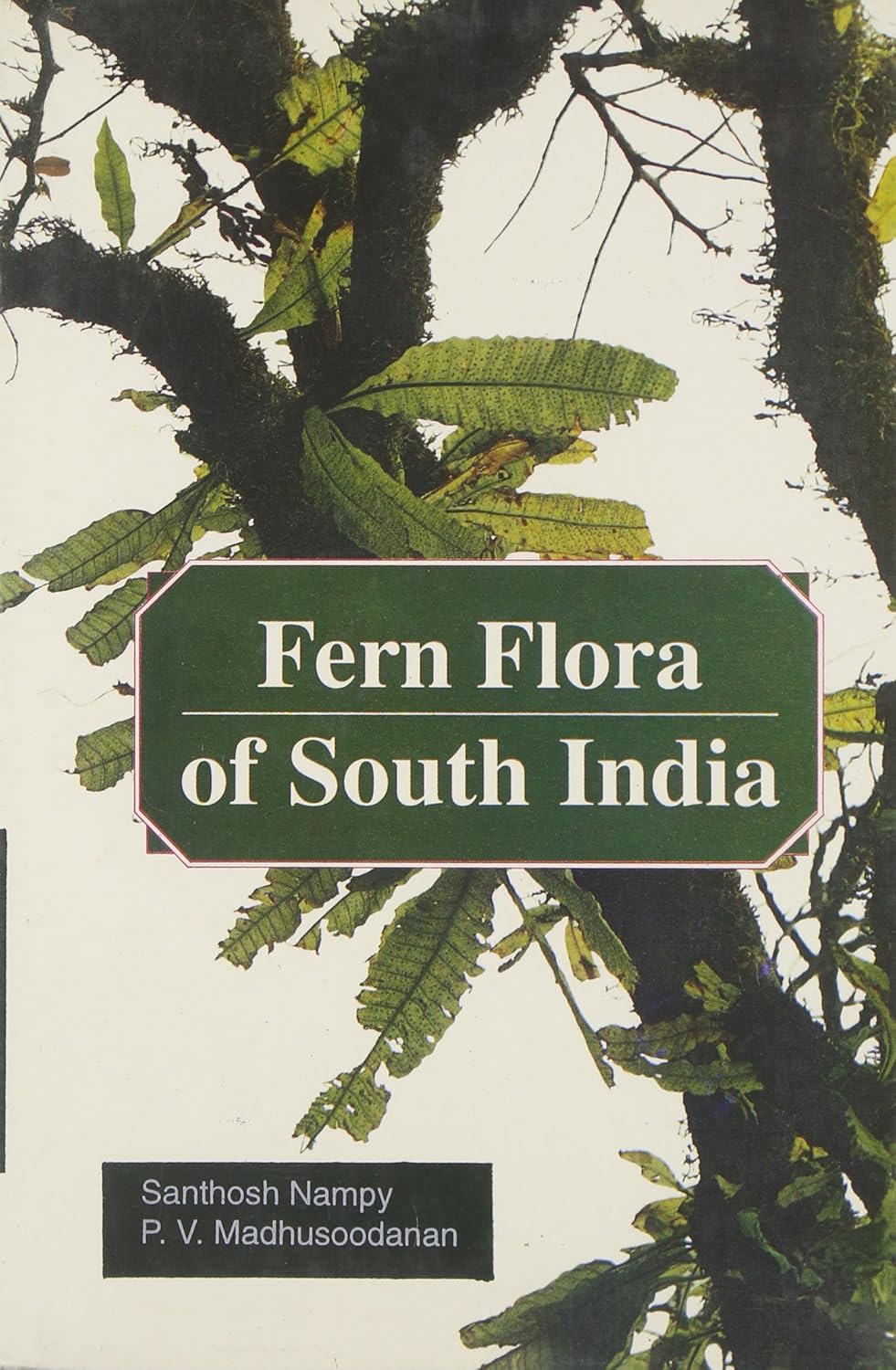 Fern Flora of South India: Taxonomic Revision of Polypodioid Ferns