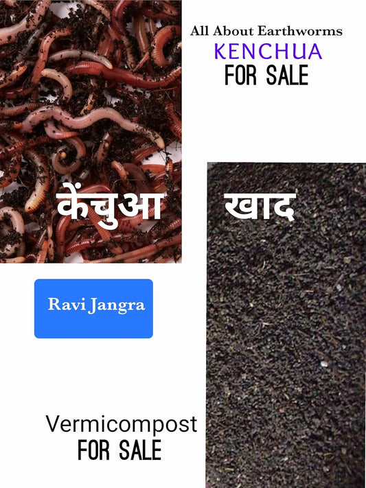 All About Earthworms