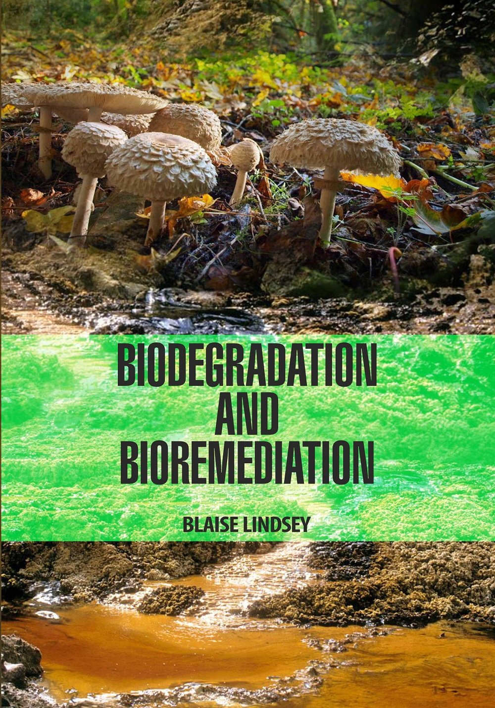 Biodegradation and Bioremediation