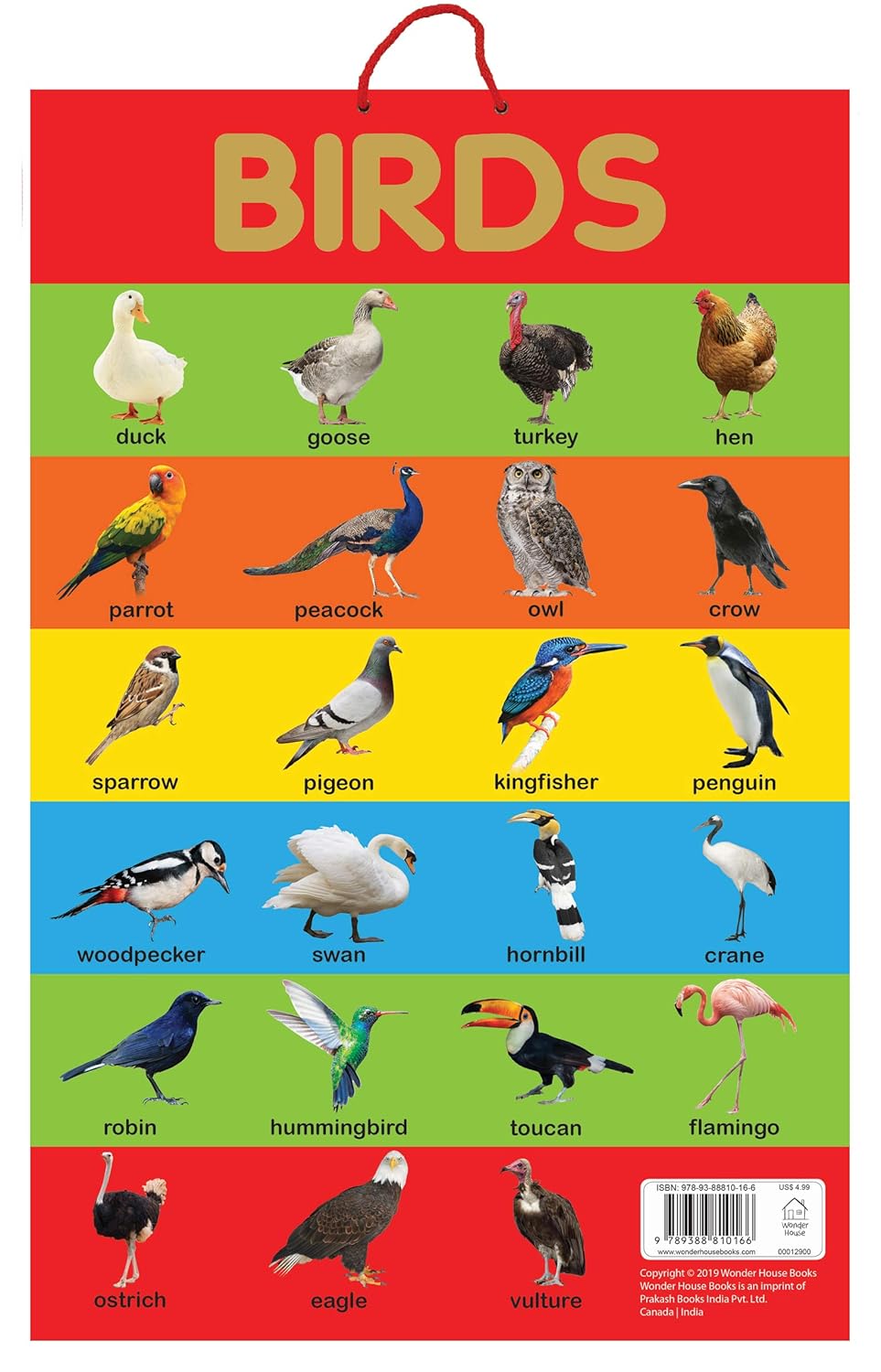 Birds - Early Learning Educational Posters For Children: Perfect For Kindergarten, Nursery and Homeschooling