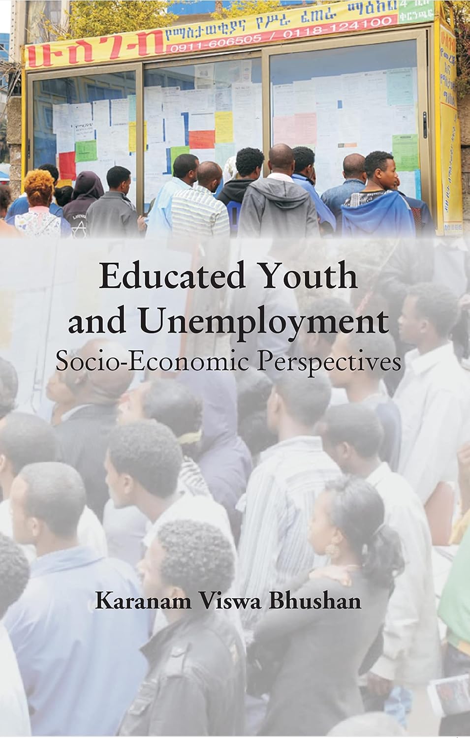Educated Youth and Unemployment Socio-Economic Perspectives   - Paperback