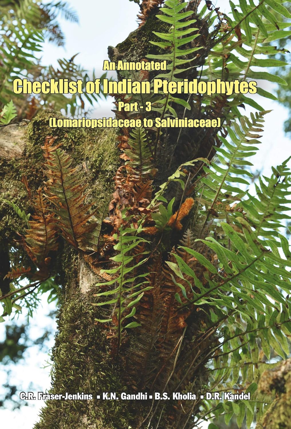 Annotated Checklist of Indian Pteridophytes Part 3: Lomariopsidaceae to Salviniaceae