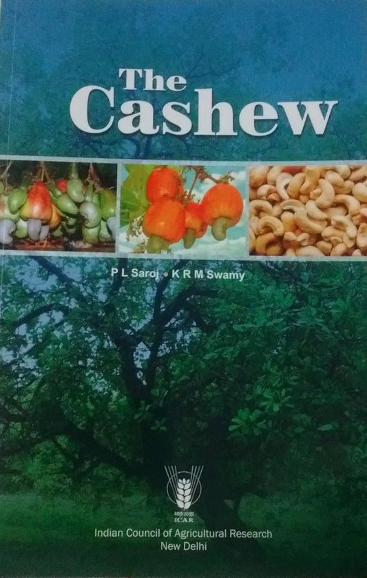 Cashew (PB)