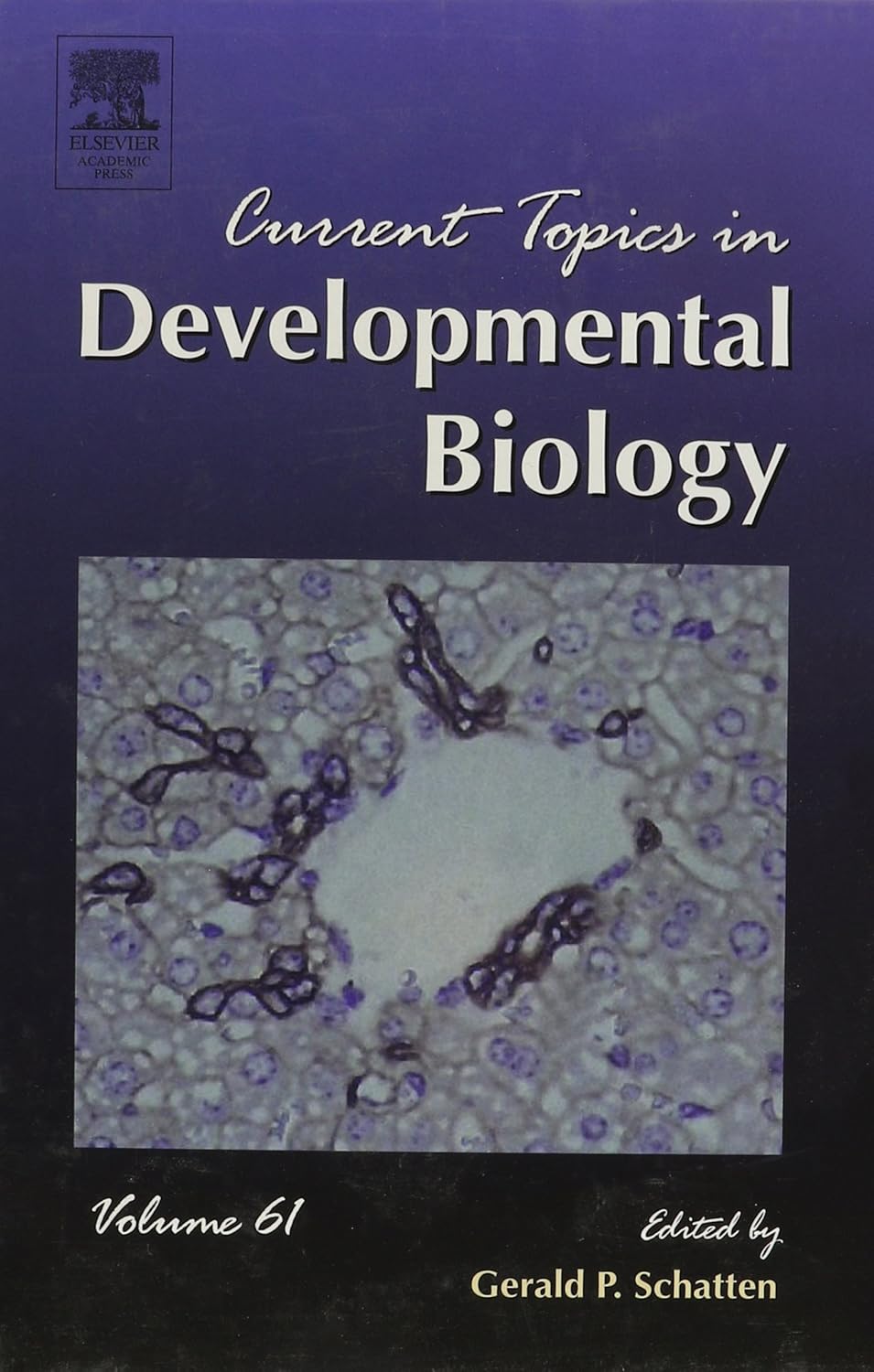 CURRENT TOPICS IN DEVELOPMENTAL BIOLOGY VOL 61 (Hardcover)