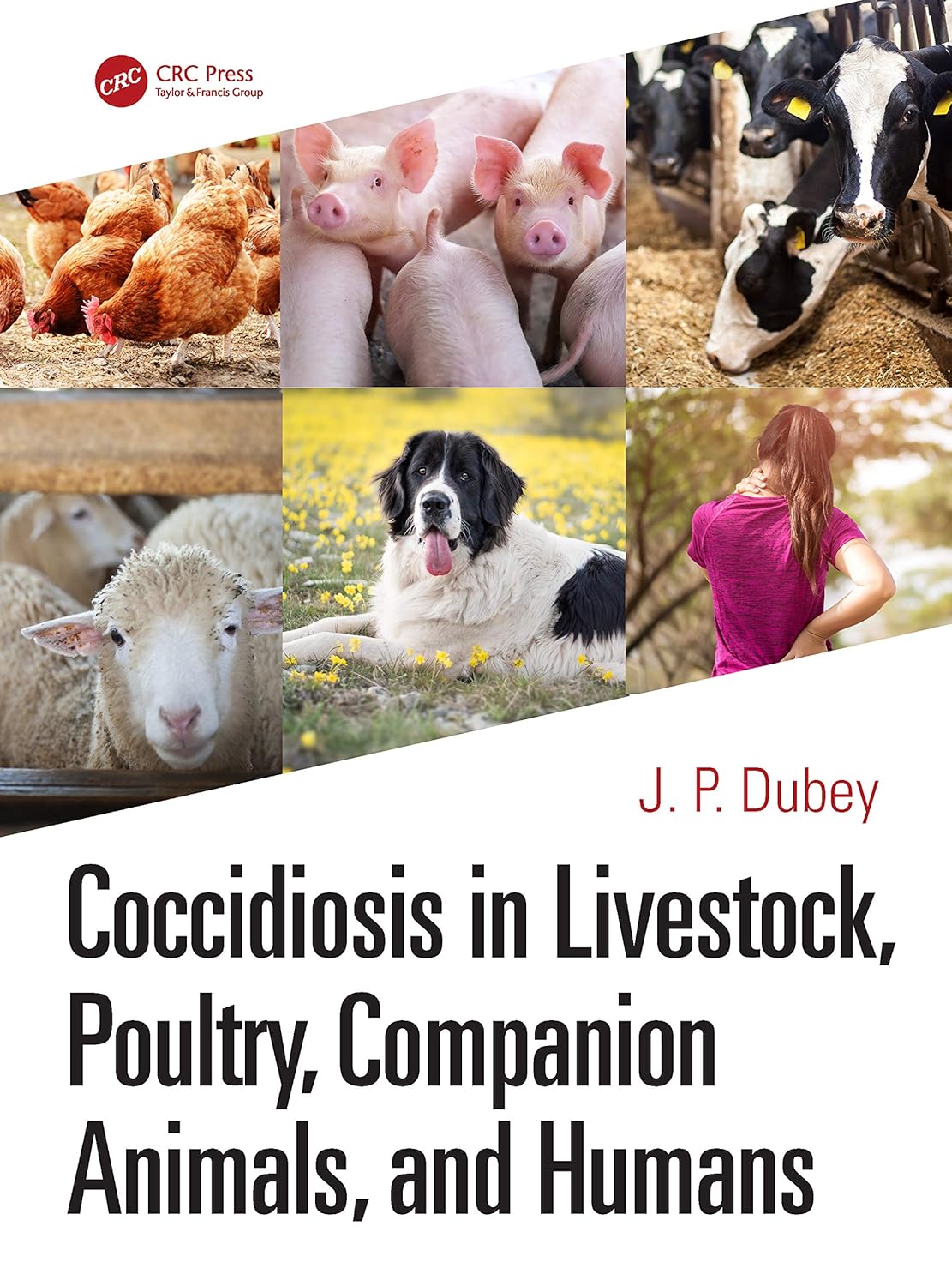 COCCIDIOSIS IN LIVESTOCK, POULTRY,  COMPANION ANIMALS AND HUMANS (Hardcover)