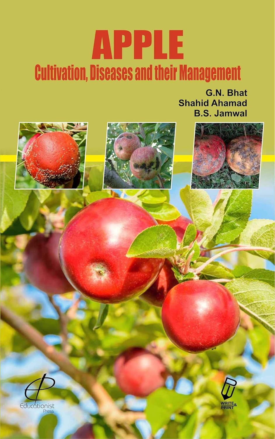 Apple Cultivation Diseases and their Management