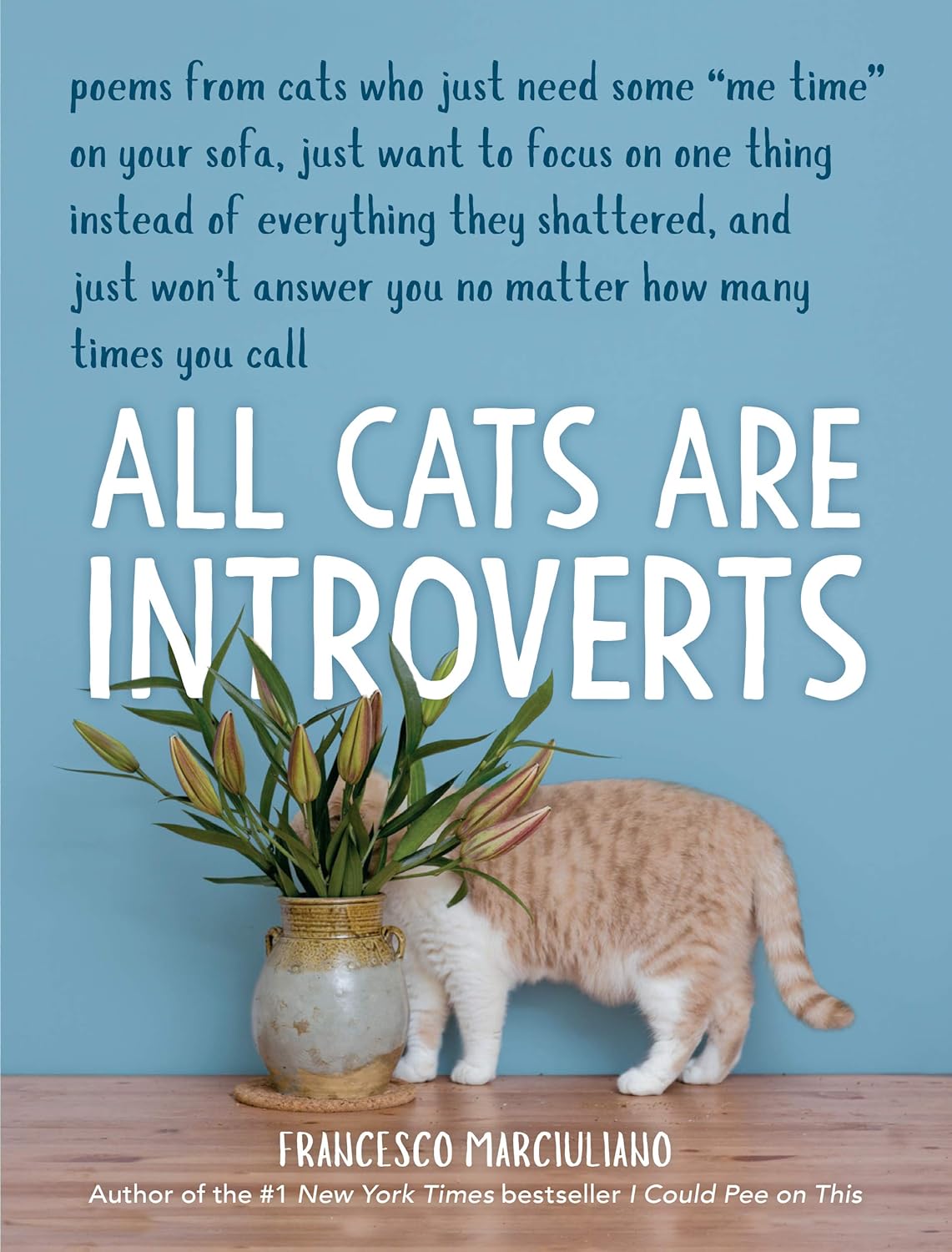 ALL CATS ARE INTROVERTS, FRANCESCO MARCIULIANO