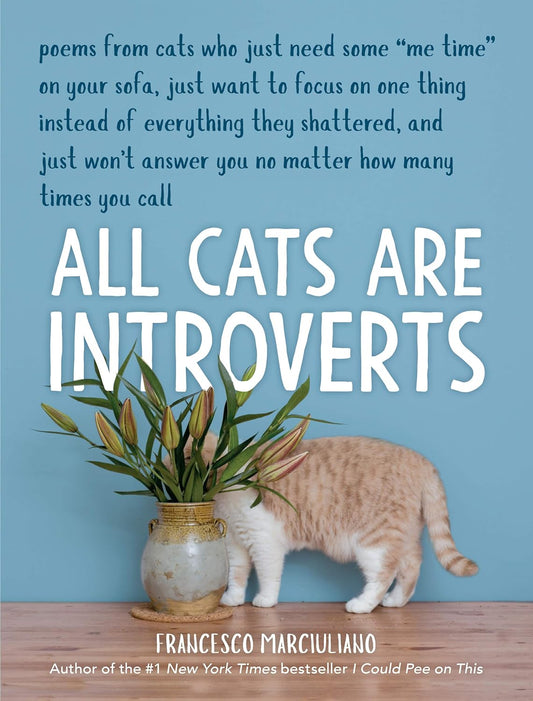 ALL CATS ARE INTROVERTS, FRANCESCO MARCIULIANO