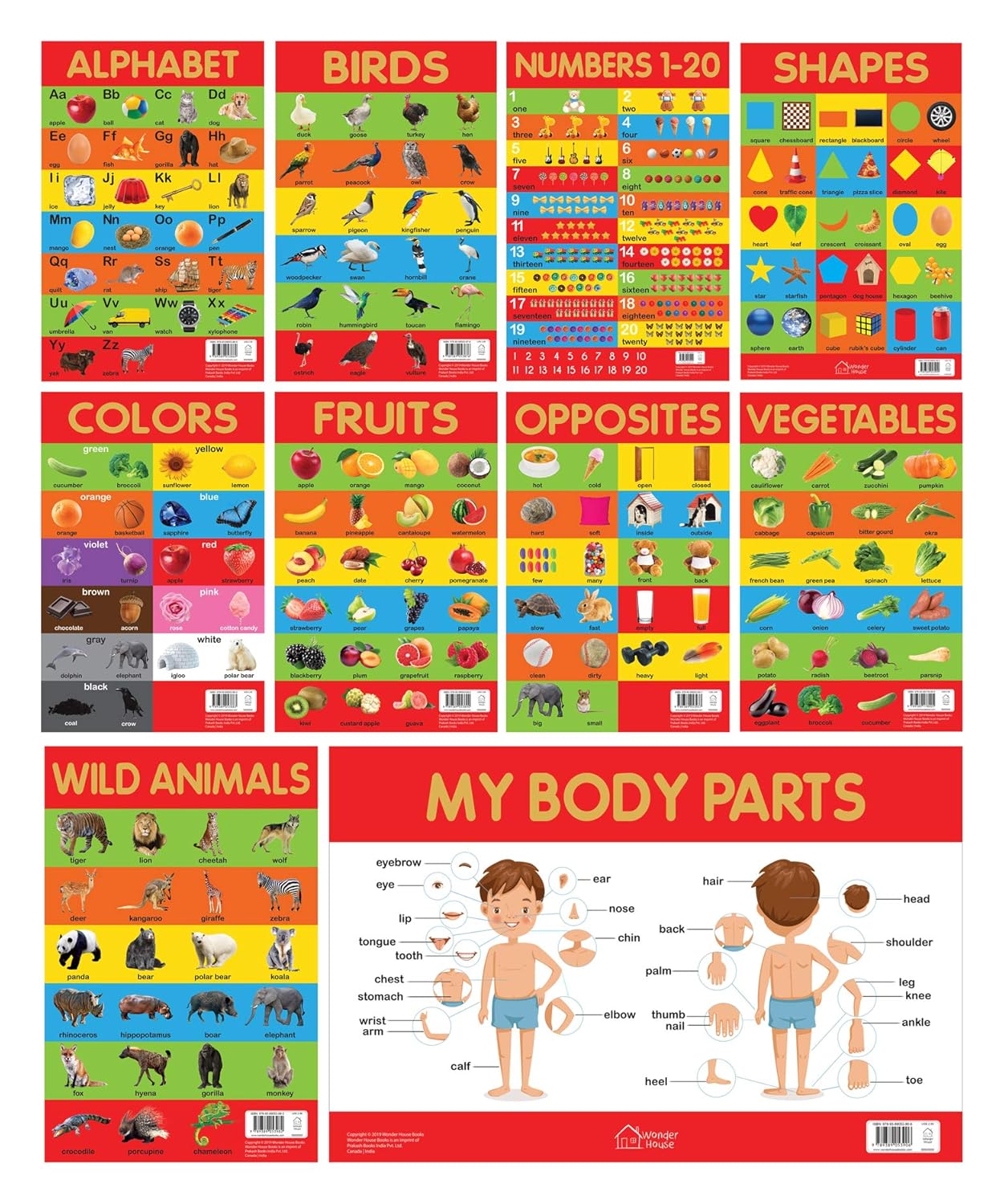 Early Learning Educational 10 Charts Boxset For Kids : Perfect For Homeschooling, Kindergarten and Nursery Students