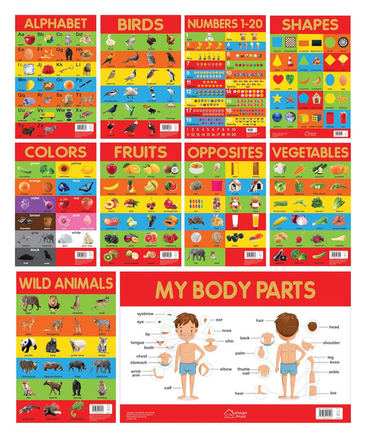 Early Learning Educational 10 Charts Boxset For Kids : Perfect For Homeschooling, Kindergarten and Nursery Students