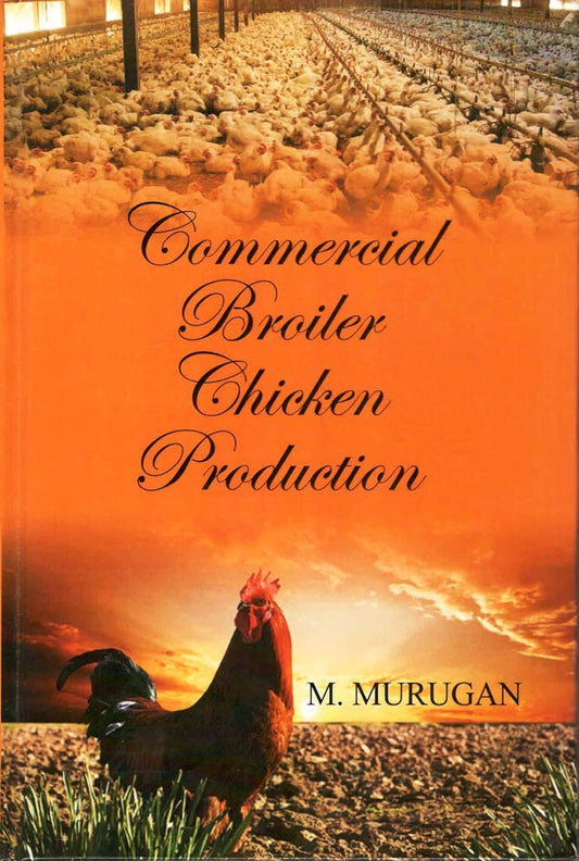 Commercial Broiler Chicken Production