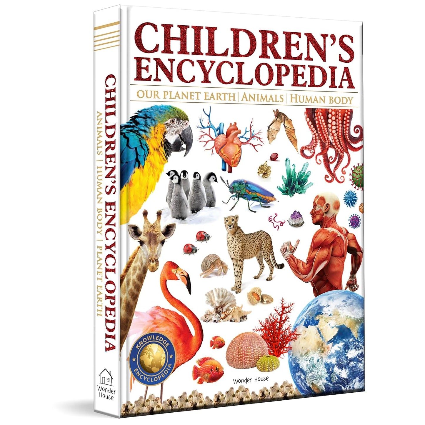 Children’s Encyclopedia - Our Planet Earth, Animals and Human Body