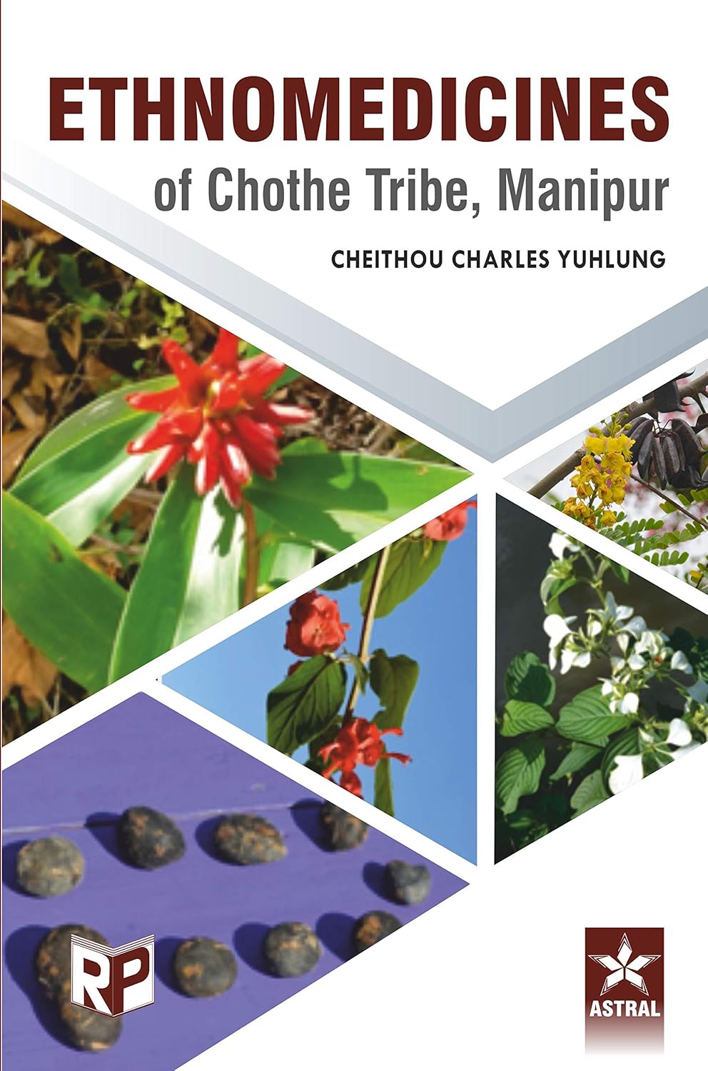 Ethnomedicines of Chothe Tribe, Manipur