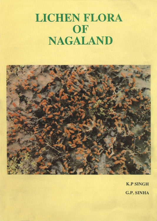 Lichen Flora of Nagaland