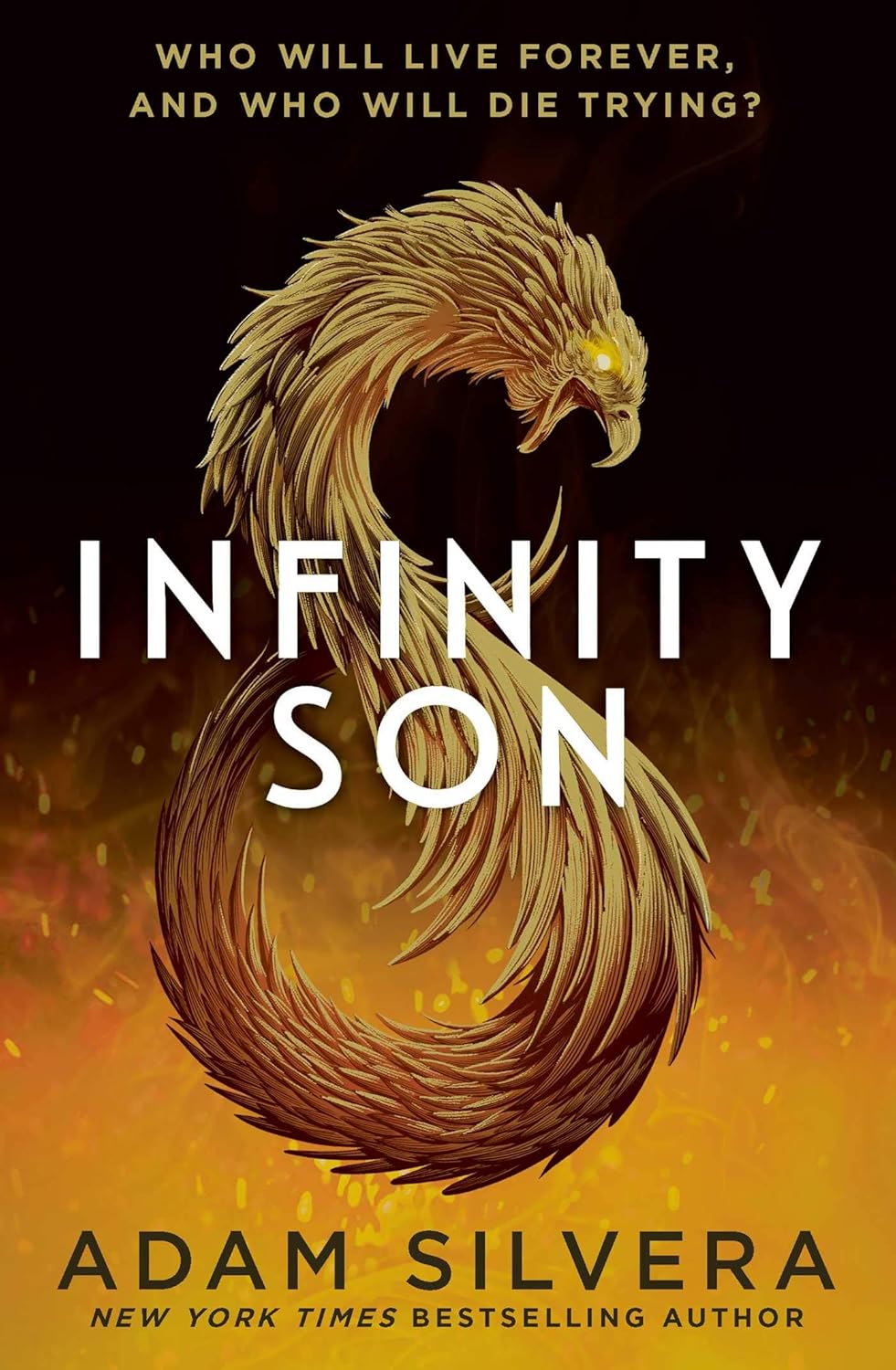 INFINITY SON, ADAM SILVERA