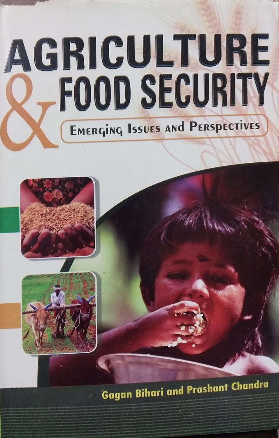 Agriculture and Food Security: Emerging Issues and Perspective