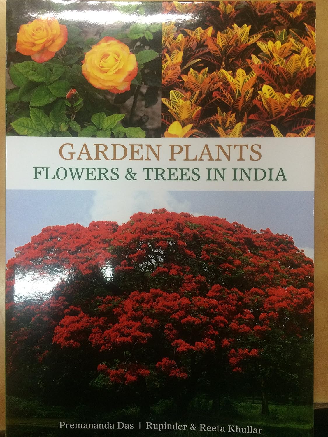 GARDEN PLANTS FLOWERS & TREES IN INDIA