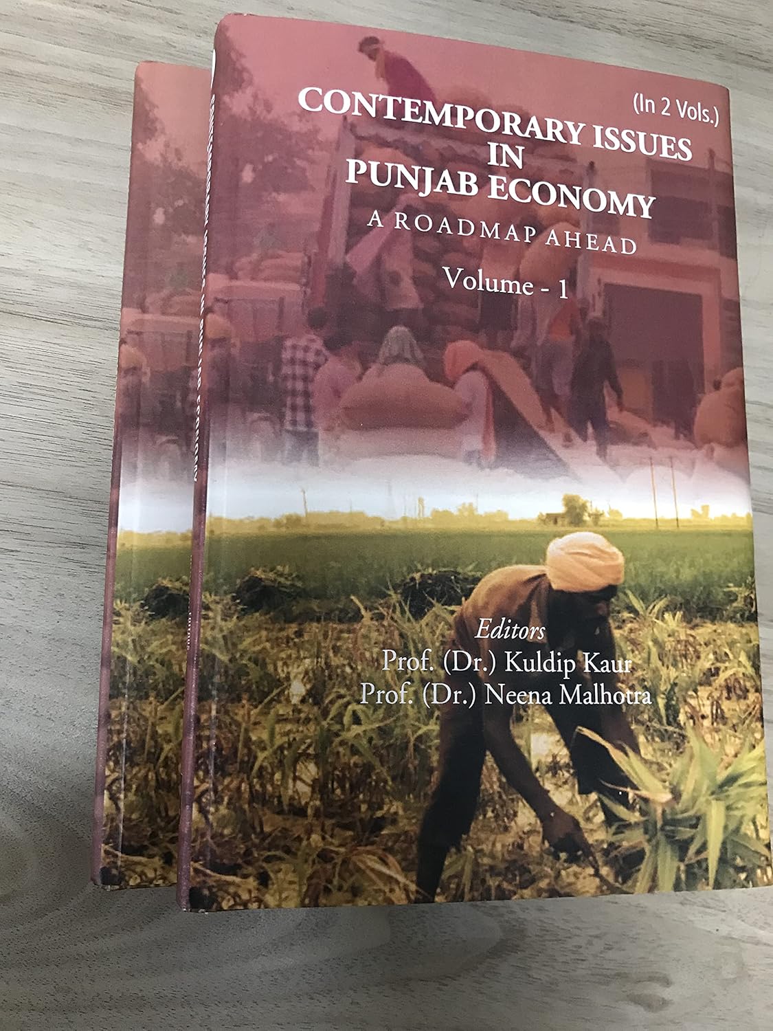Contemporary Issues in Punjab Economy: A Roadmap Ahead  2 VOL. SET  - Hardcover