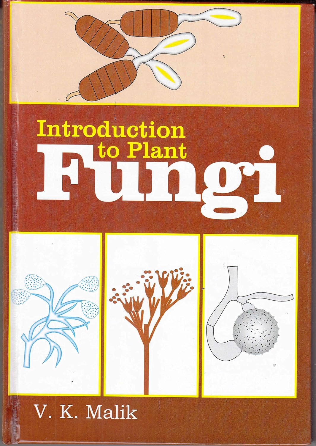 INTRODUCTION TO PLANT FUNGI(PB)
