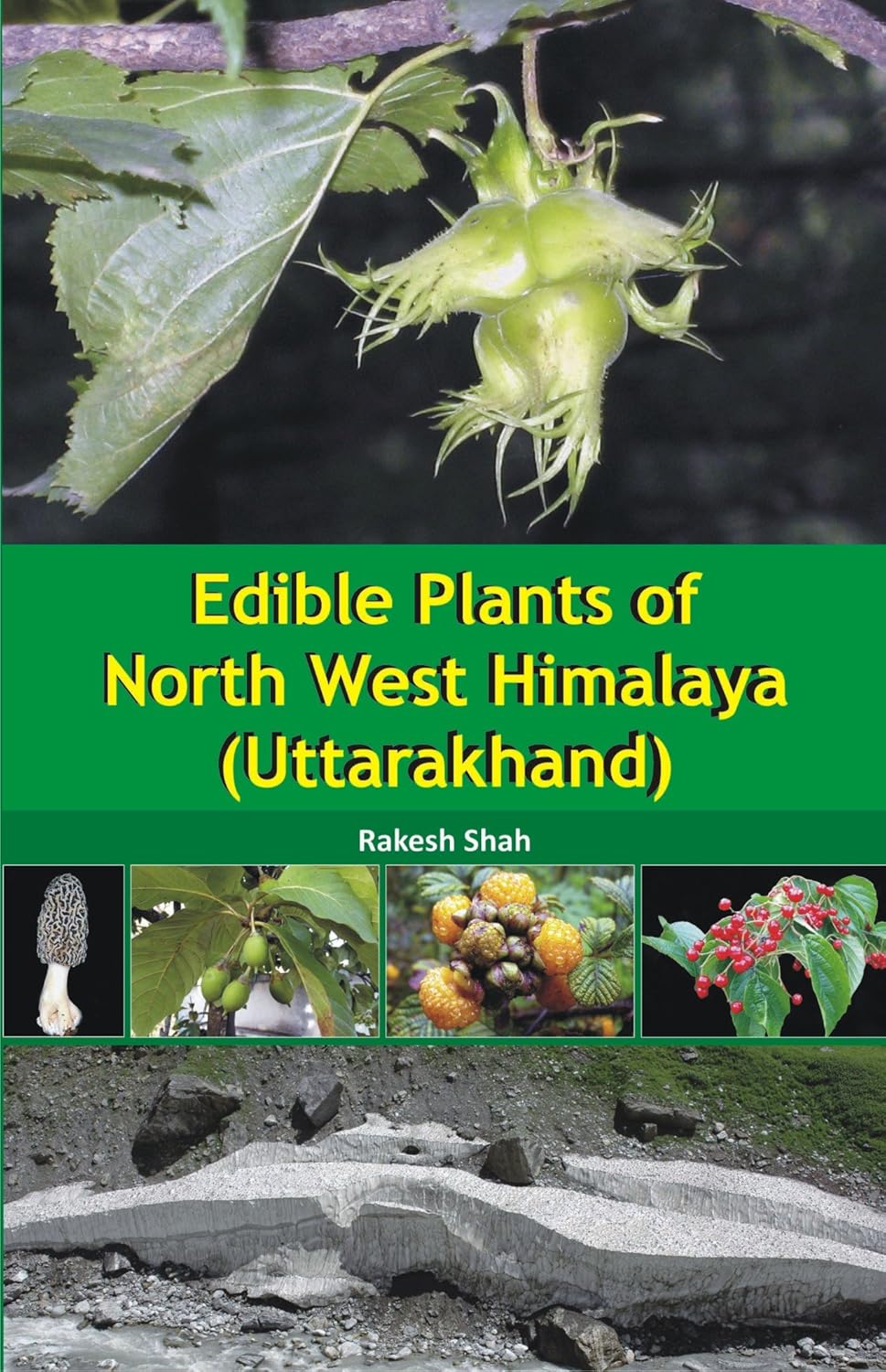 Edible Plants of North West Himalaya Uttarakhand