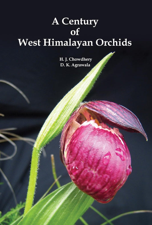 Century of West Himalayan Orchids