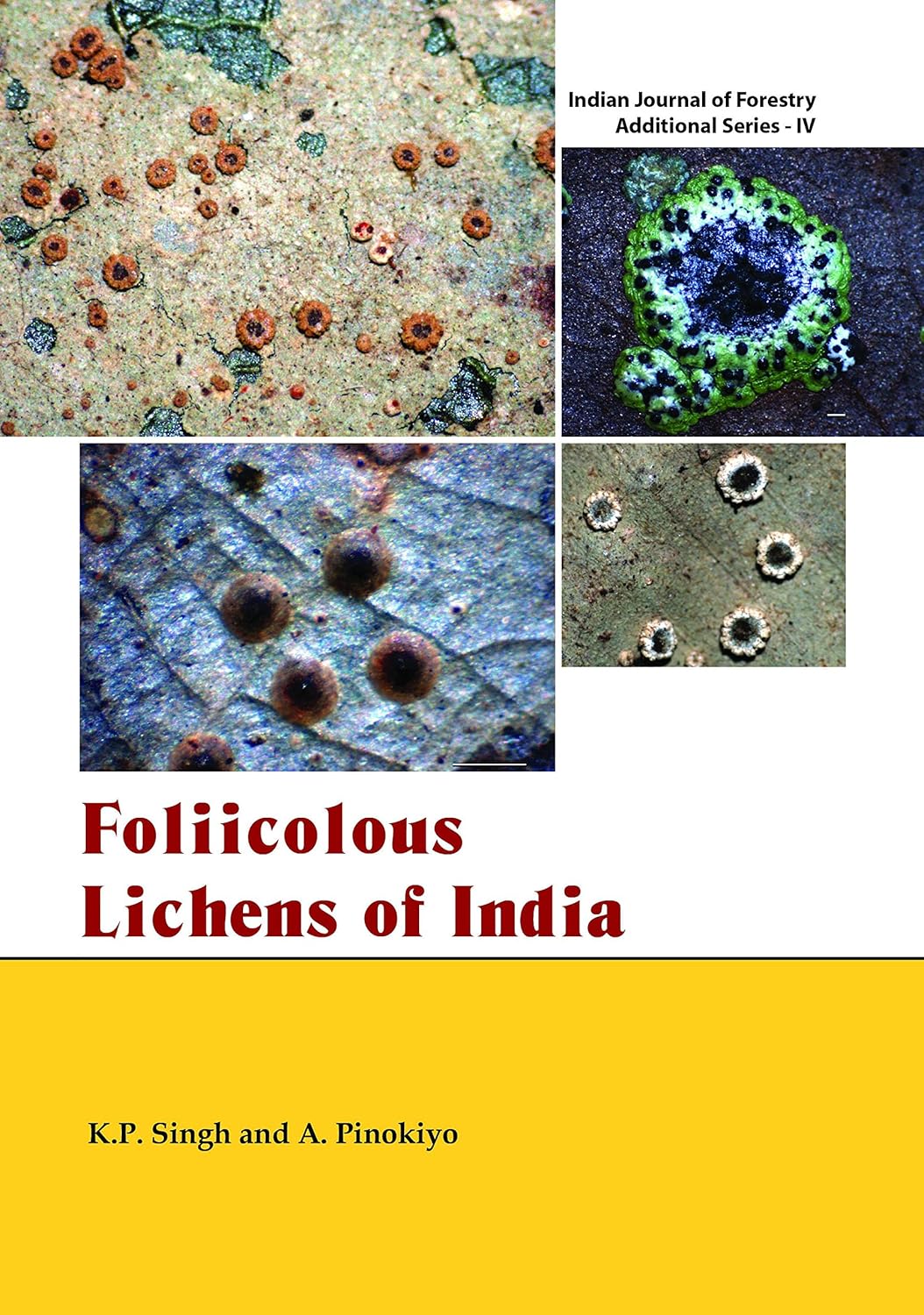 Foliicolous Lichens of India