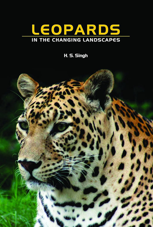 Leopards In the Changing Landscapes